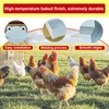 Chicken Oyster Shell Feeder and Automatic Gravity Chicken Feeder Combo