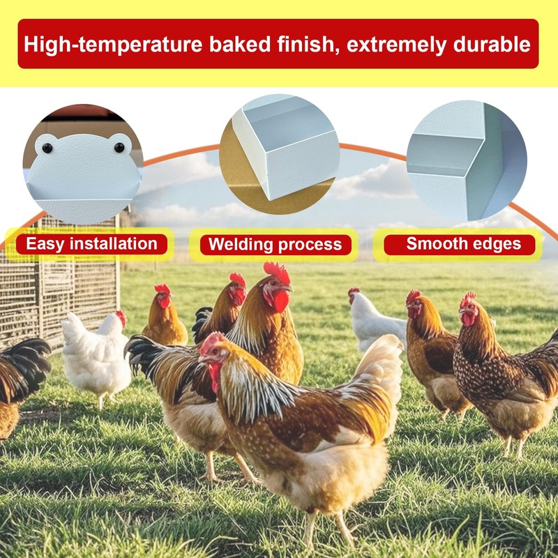 Chicken Oyster Shell Feeder and Automatic Gravity Chicken Feeder Combo