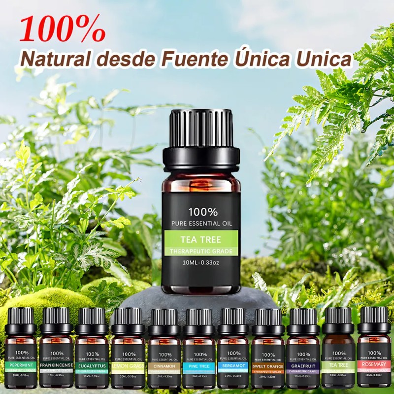 Kit De 12 Aceites Esenciales Aromaterapia 100% Puro 10ml Spa