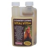 Vital Vits+