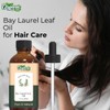 Organic Zing Bay Laurel Leaf (Laurus Nobilis) Oil | Pure