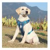 UNA MASCOTA Pechera Arnés De Seguridad para Perro Mediano Y