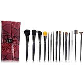 Crown Brush 15 Piece Pro with Designer Case Brush Set, Pink