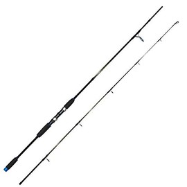 Dieter Eisele Twitch N Pilk Fishing Rod Sea Rod 2.30 m 50-200 g