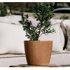 Tymar Planter, Flower Pot, Pack of 2, Flower Pot, Plastic