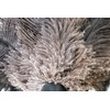 ROYAL DUSTER Black Ostrich Feather Duster (14")
