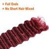 Bafamiya Curly Burgundy Braiding Human Hair 2 Bundles Per Package
