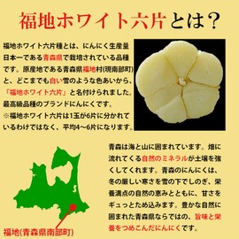 Garlic, Rose, Produced in Aomori Prefecture, 17.6 oz (500 g), Fukuji White 6 Seeds, Aomori Garlic