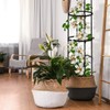 HASTHIP® Estacas de Soporte para Plantas jardín - Soportes plástico