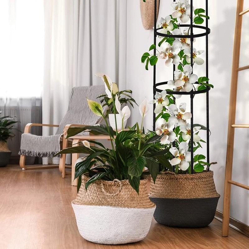 HASTHIP® Estacas de Soporte para Plantas jardín - Soportes plástico