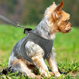 Joytale Small Dog Harness, Breathable Mesh Step-in Vest Harness, Reflective Soft Padded Harnesses Small Sized Dog for Walking, Gray, S