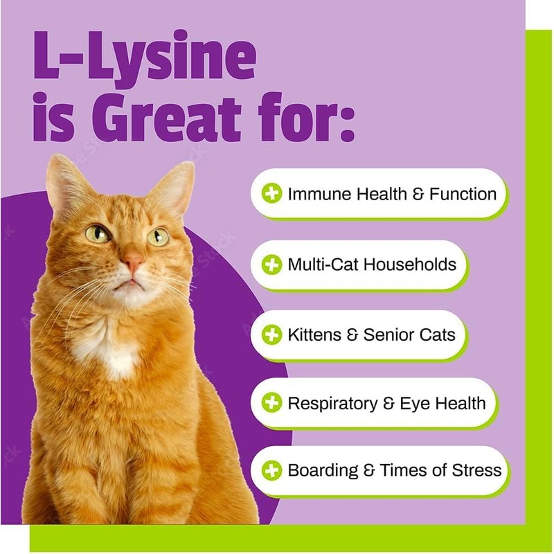 Pet Naturals of Vermont L-Lysine Fun-Shaped Chews for Cats