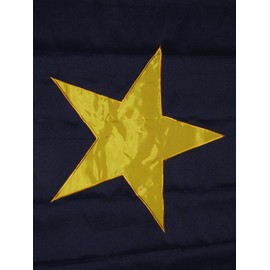 AES 3x5 Embroidered Sewn Burnett's 1st Texas Republic Synthetic Cotton Flag 3'x5' w/Clips