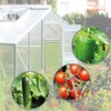com-four® 100 x Greenhouse Clips, Hanging Devices for Greenhouse and