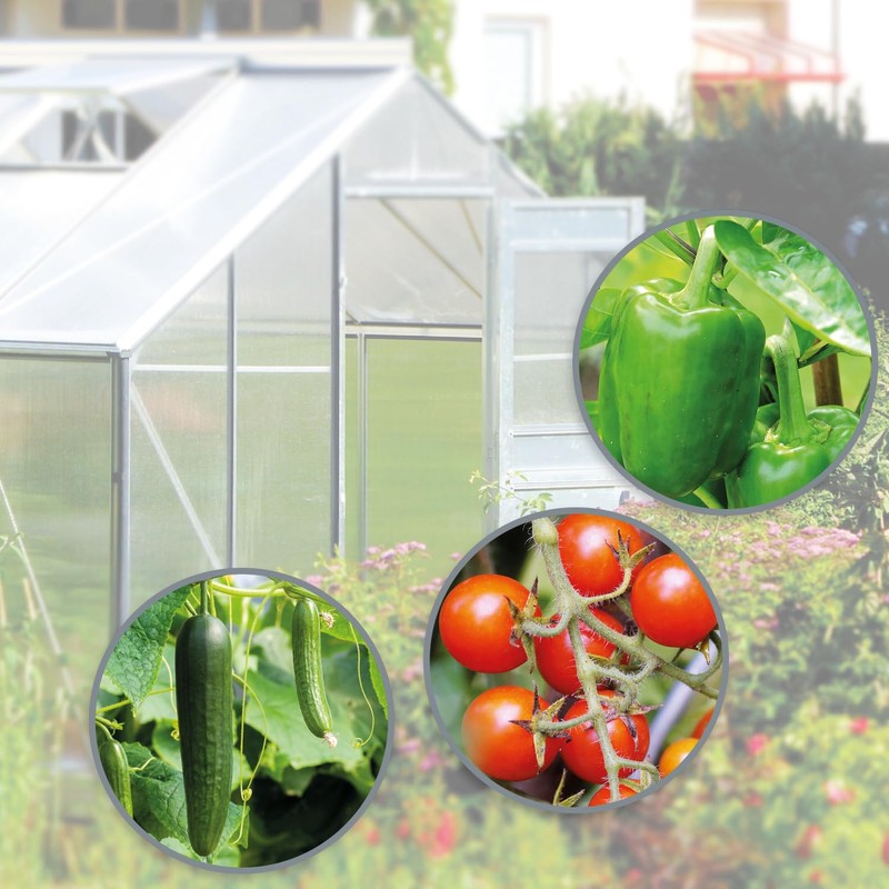 com-four® 100 x Greenhouse Clips, Hanging Devices for Greenhouse and