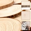 Wooden Discs 30 ~ 35 cm Wooden Discs Wooden Log