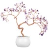 Nupuyai Amethyst&Rose Quartz Crystal Tree Feng Shui Gemstone Tree with