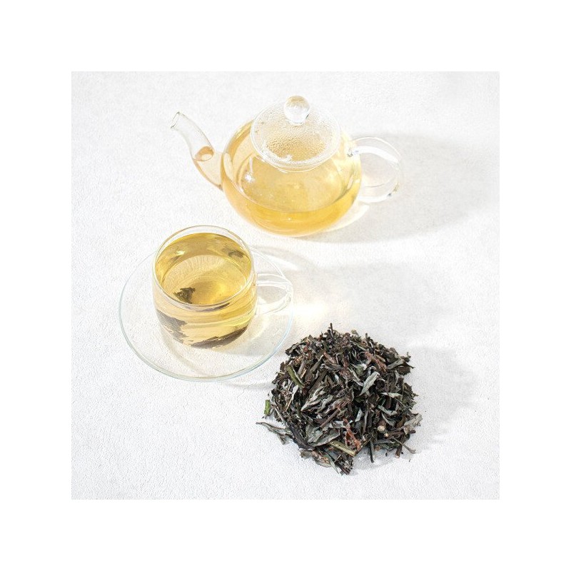 쑥(애엽) 300g Mugwort (Artemisia) 300g