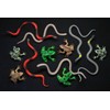Miniblings 12 x snake frogs lizards salamander animal figures, standing