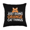 Orange Cat Just Doing Orange Cat Things Funny Cat Lover