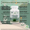 Spirulina Capsule