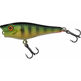 Berkley Pulse Pop Fishing Lure, Floating Topwater Popper Bait, Realistic Baitfish Action for Predator Fish Anglers, Long Casting & Water-Splashing Surface Action, Freshwater & Saltwater, 5cm, Perch