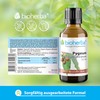 BIOHERBA 3 Stk. Pygeum africanum Tropfen, Tinktur mit Vitamin B1