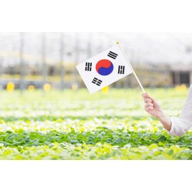 50 Pack South Korean Flags on Stick - Small Mini Hand Held, 5.5x8.3 Inch, Grand Opening, Carnival, Party Events Celebration