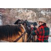 TrailMax Original Pommel Pocket Saddlebag for Western & Endurance Saddles;