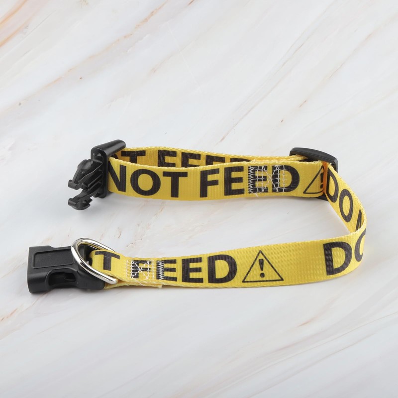 CENWA Do Not Feed Dog Collar Yellow Caution Dog Collar