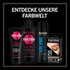 Syoss Oleo Intense Oil Colouration 3-22 Bordeaux Red Level 3