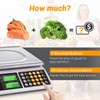 BROMECH Price Computing Scale, 66lb Digital Commercial Food Meat Produce