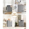 SOLEDI Double Laundry Hamper with Lid, 130L Clothes Hamper 2