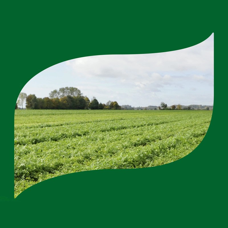 Knorr Mixed Variety Pack Bouillon Granules Beef Chicken Tomato 10.67