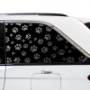 ClearSurface Fits Jeep Grand Cherokee 2022 2023 Window Leopard Cheetah