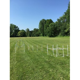 Dog Agility Equipment Deluxe Beginner Set, 3 Bar Jumps, 6 Weave Poles,1 Octagon Hoop Jump Agility Course for Dogs