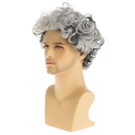Dsimeig Men's Wig Grey White Short Curly Wavy Cosplay Hair Wigs