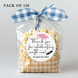 120 x 2025 Graduation Thank You Sticker, Invitation Sticker, Graduation Party, Class of 2025, Class of 2025 Grad Favor Label, College High School Graduate Thank You Tags (Pink)