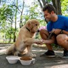 Dog Bowls Travel Bowls 2 in 1 Integrated Foldable No