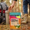 Wilderness Poets 100% Evaporated Coconut Water Powder - No Maltodextrin,