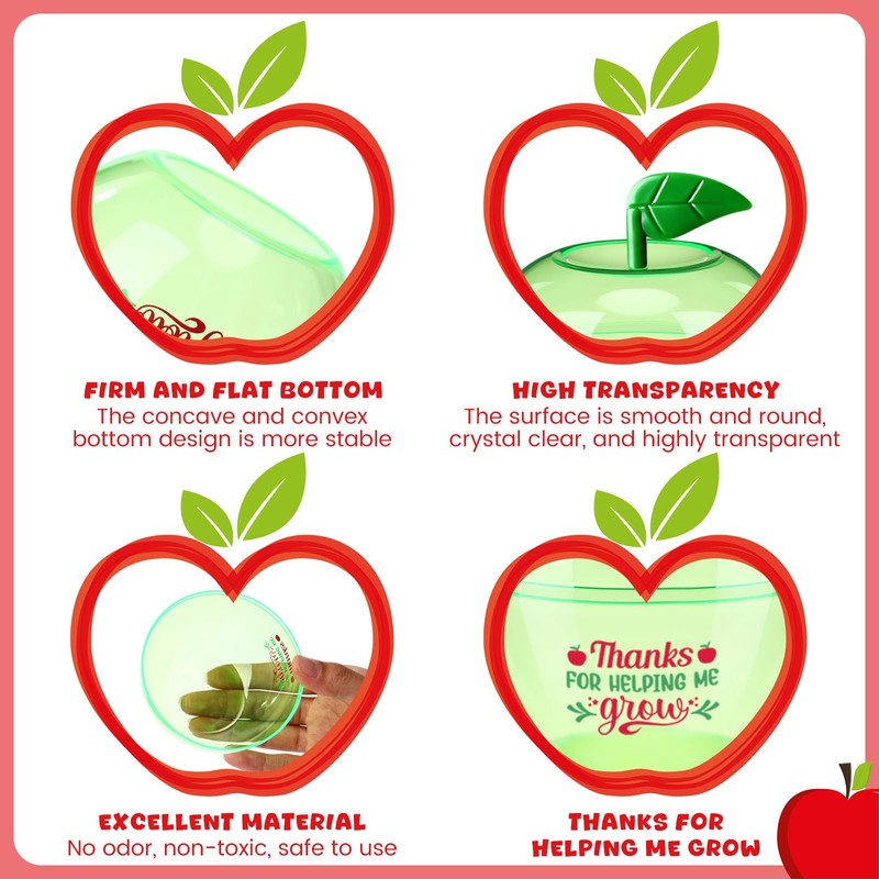 Mimorou 24 Pack Back to School Gifts Plastic Apple Containers,Classic,Green