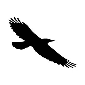 Ranger Products Crow Raven Blackbird Decal Sticker, Die Cut Vinyl Decal for Windows, Cars, Trucks, Tool Boxes, laptops, MacBook - virtually Any Hard, Smooth Surface