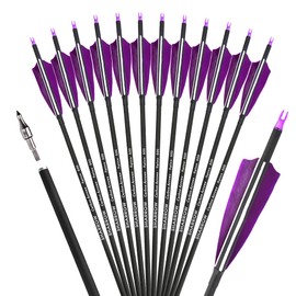ZSHJGJR 30 Inch Archery Carbon Arrows Hunting Arrows with 4” Turkey Feather Target Practice Arrows Spine 500 for Compound & Recurve &Traditional Bow 6/12pcs (Purple, 12pcs Arrows)