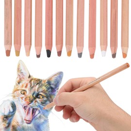 Pwshymi Caran D Ache Skin Coloured Pastel Pencils, Soft Pastel Pencils for Artists, 21 x 11 x 1 Pastel Pen, Portrait, Hand-Painted Toner, Professional
