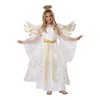 Kids Starburst Angel Costume X-Small Multi-Color