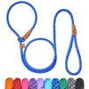 Petarea Petarea 5 FT Slip Lead Dog Leash, Heavy Duty