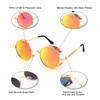FEISEDY Retro Steampunk Polarized Sunglasses Round Metal Frame Gothic Shades