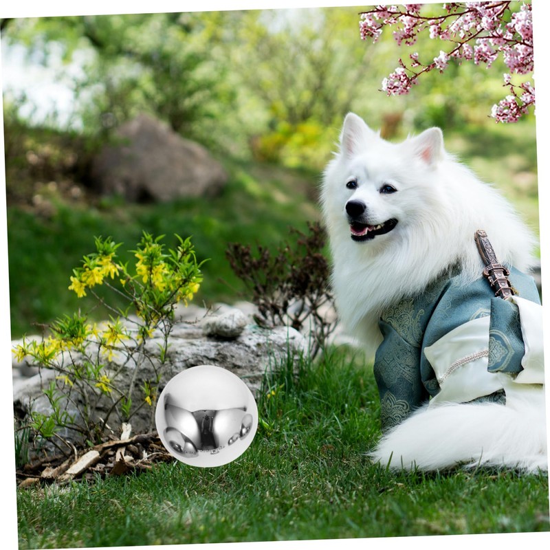 BESPORTBLE Metal Decorative Balls 10pcs Stainless Steel Gazing Half Balls