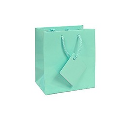 10 pcs Tiny Fancy Robin's Egg Blue Glossy Finish Shopping Paper Gift Sales Tote Bags with Blank Message Tag 3" x 2" x 3.5"