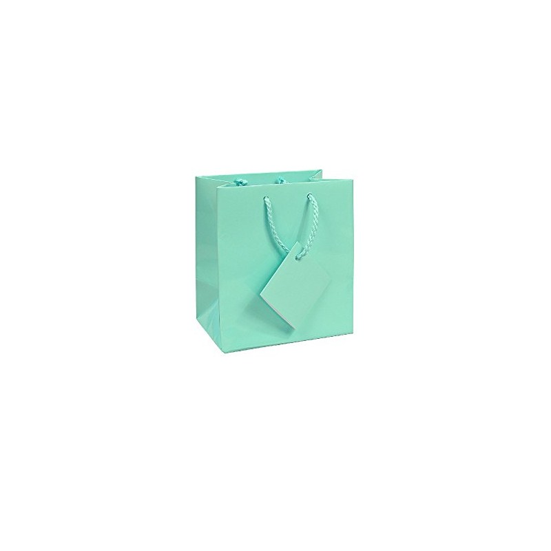 10 pcs Tiny Fancy Robin's Egg Blue Glossy Finish Shopping
